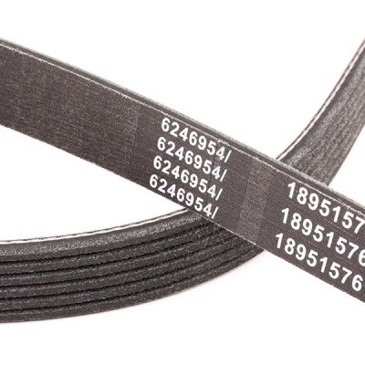 V-Ribbed Belt RIDEX 305P0123P 305P0123P - photo 5