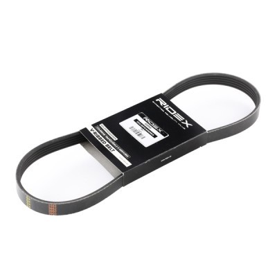 V-Ribbed Belt RIDEX 305P0218 305P0218 - photo 2