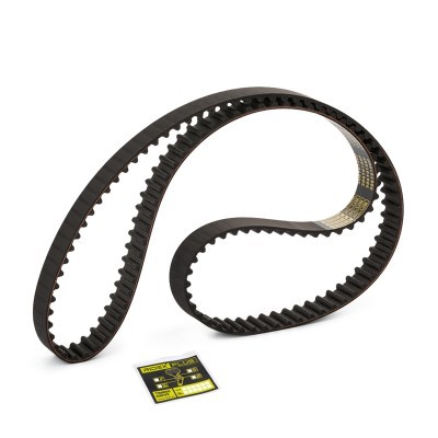 Timing Belt RIDEX 306T0100P 306T0100P - photo 4