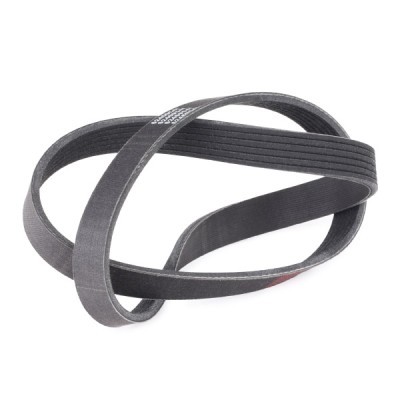 V-Ribbed Belt RIDEX 305P0052P 305P0052P - photo 3