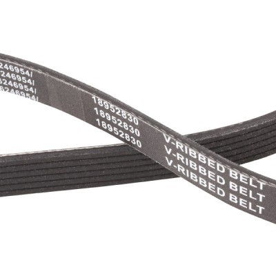 V-Ribbed Belt RIDEX 305P0343P 305P0343P - photo 5