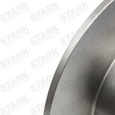 Brake Disc Stark SKBD-0022919 SKBD-0022919 - photo 4