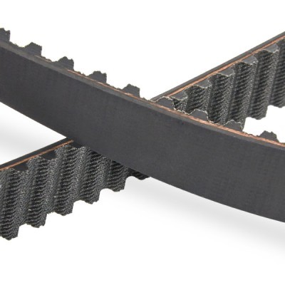 Timing Belt RIDEX 306T0005P 306T0005P - photo 5