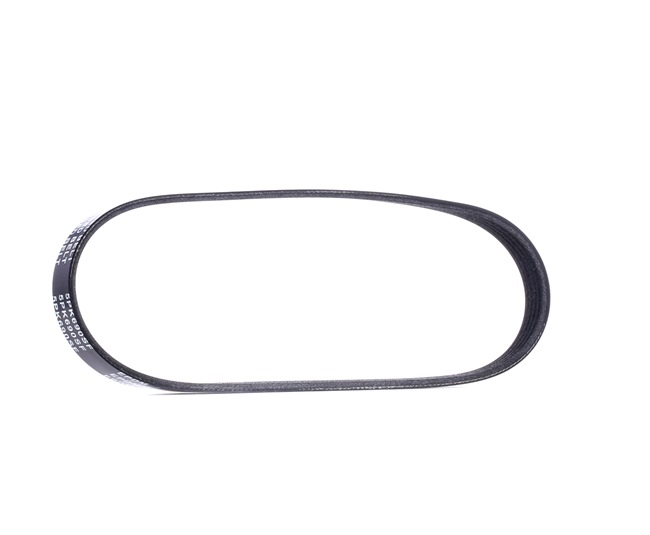V-Ribbed Belt RIDEX 305P0117 305P0117 - photo 1