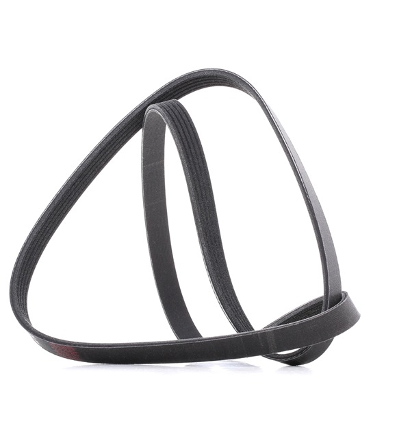 V-Ribbed Belt RIDEX 305P0040P 305P0040P - photo 1