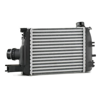 Intercooler, Charger RIDEX 468I0117 468I0117 - photo 4