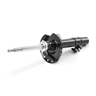 Shock Absorber RIDEX 854S17857 854S17857 - photo 4