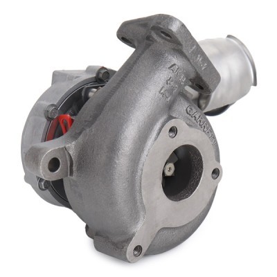 Turbocharger RIDEX 2234C0495R 2234C0495R - photo 5