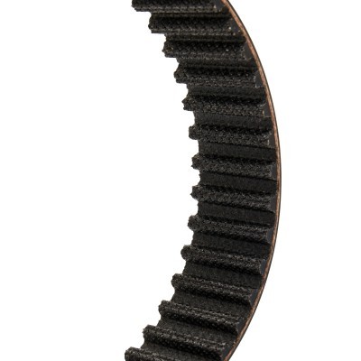Timing Belt RIDEX 306T0105P 306T0105P - photo 4