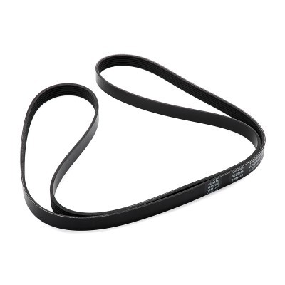 V-Ribbed Belt RIDEX 305P0248 305P0248 - photo 3