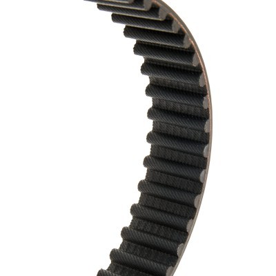 Timing Belt RIDEX 306T0262P 306T0262P - photo 4