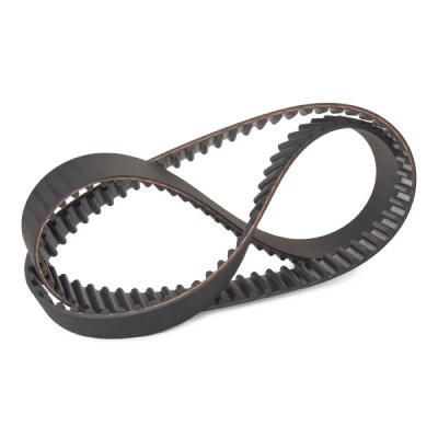 Timing Belt RIDEX 306T0131P 306T0131P - photo 3
