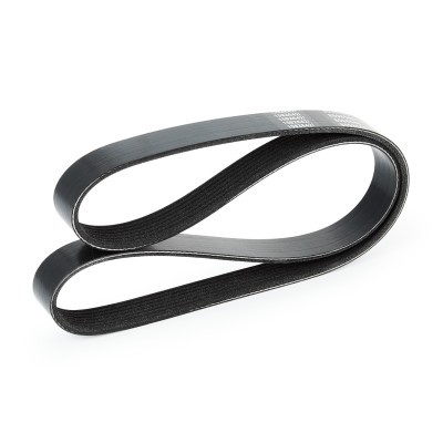 V-Ribbed Belt RIDEX 305P0129 305P0129 - photo 4