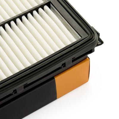 Air Filter RIDEX 8A1166 8A1166 - photo 4