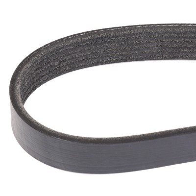 V-Ribbed Belt RIDEX 305P0171 305P0171 - photo 3