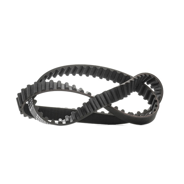 Timing Belt RIDEX 306T0021P 306T0021P - photo 1