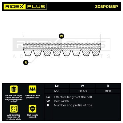 V-Ribbed Belt RIDEX 305P0155P 305P0155P - photo 3