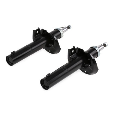 Shock Absorber RIDEX 854S1731 854S1731 - photo 5