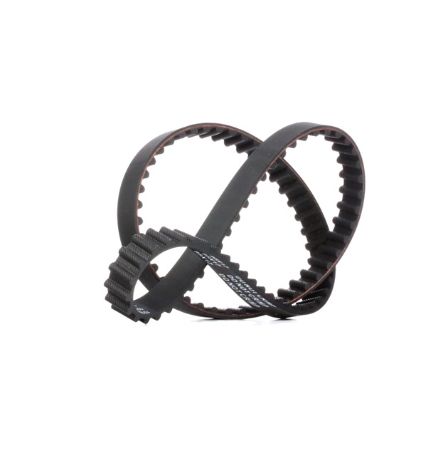 Timing Belt RIDEX 306T0021 306T0021 - photo 1