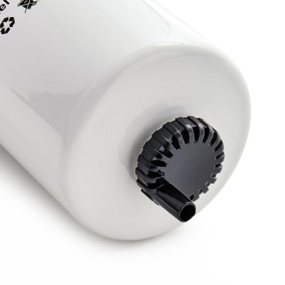 Fuel Filter RIDEX 9F0123P 9F0123P - photo 5