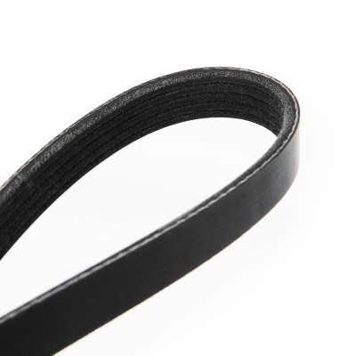 V-Ribbed Belt RIDEX 305P0036 305P0036 - photo 5