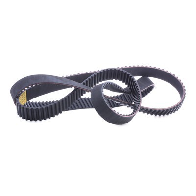 Timing Belt RIDEX 306T0231 306T0231 - photo 3