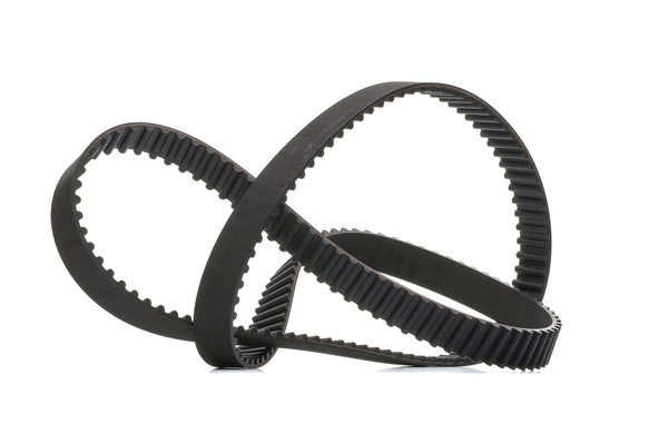 Timing Belt RIDEX 306T0077P 306T0077P - photo 1