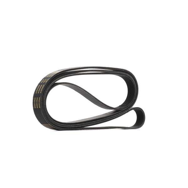 V-Ribbed Belt RIDEX 305P0481P 305P0481P - photo 1