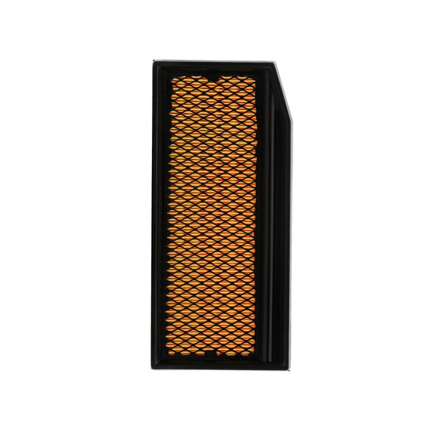 Air Filter RIDEX 8A1622P 8A1622P - photo 1
