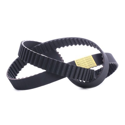 Timing Belt RIDEX 306T0304 306T0304 - photo 3