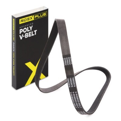 V-Ribbed Belt RIDEX 305P0428P 305P0428P - photo 2