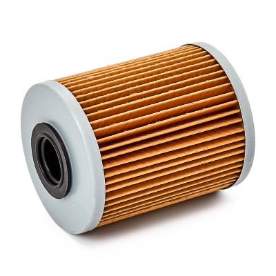 Fuel Filter RIDEX 9F0021 9F0021 - photo 9