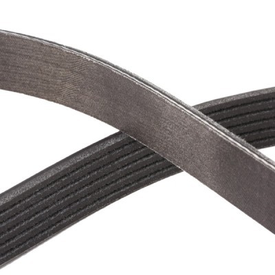 V-Ribbed Belt RIDEX 305P0396P 305P0396P - photo 5