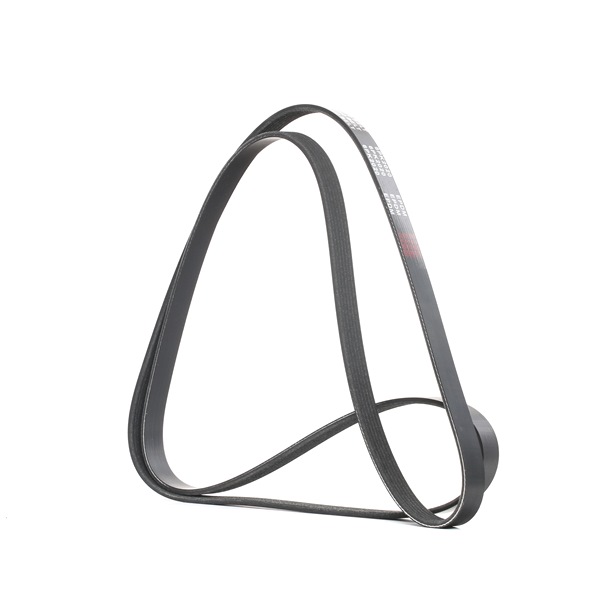 V-Ribbed Belt RIDEX 305P0093 305P0093 - photo 1
