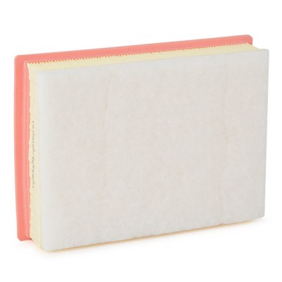 Air Filter RIDEX 8A1642 8A1642 - photo 3