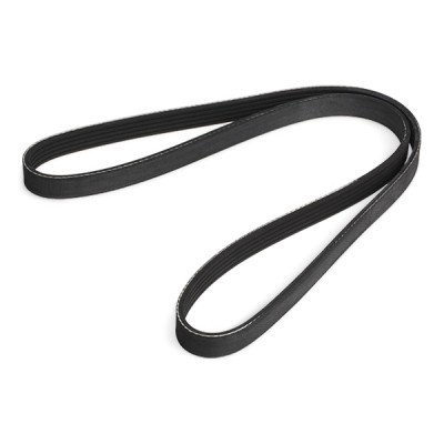 V-Ribbed Belt RIDEX 305P0034 305P0034 - photo 5