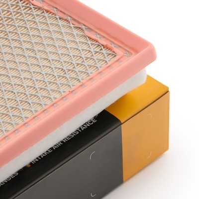 Air Filter RIDEX 8A1660 8A1660 - photo 5