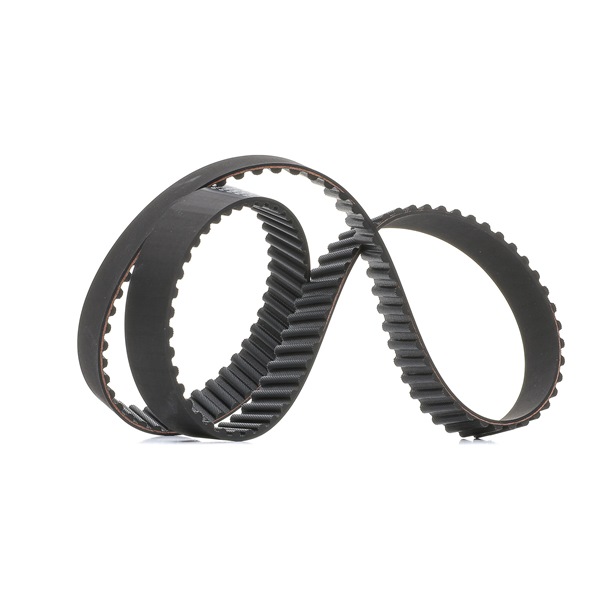 Timing Belt RIDEX 306T0011P 306T0011P - photo 1