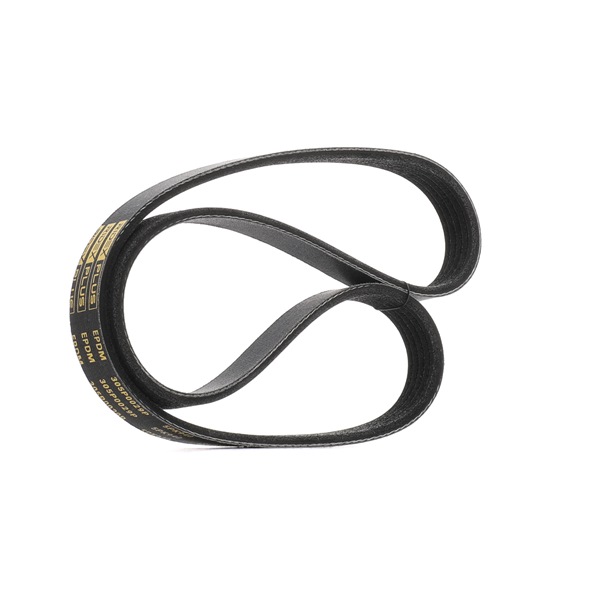 V-Ribbed Belt RIDEX 305P0029P 305P0029P - photo 1