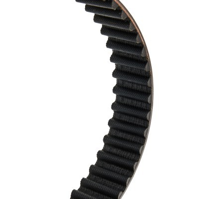 Timing Belt RIDEX 306T0076P 306T0076P - photo 4