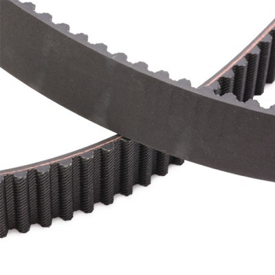 Timing Belt RIDEX 306T0119 306T0119 - photo 4