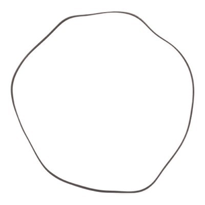 V-Ribbed Belt RIDEX 305P0098P 305P0098P - photo 4