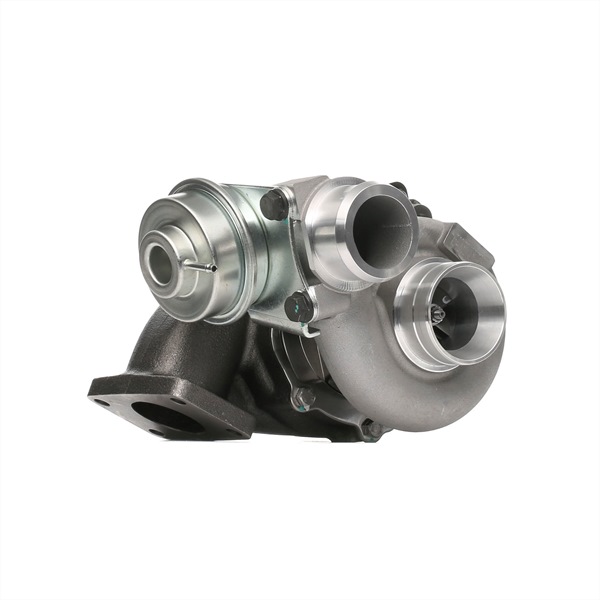 Turbocharger RIDEX 2234C0125 2234C0125 - photo 1