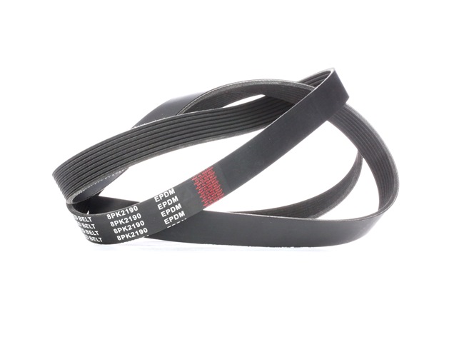 V-Ribbed Belt RIDEX 305P0319 305P0319 - photo 1