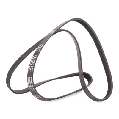 V-Ribbed Belt RIDEX 305P0370P 305P0370P - photo 4