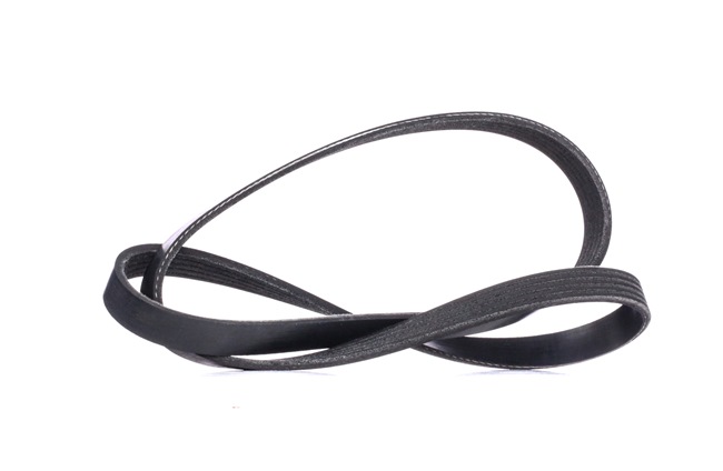 V-Ribbed Belt RIDEX 305P0423 305P0423 - photo 1