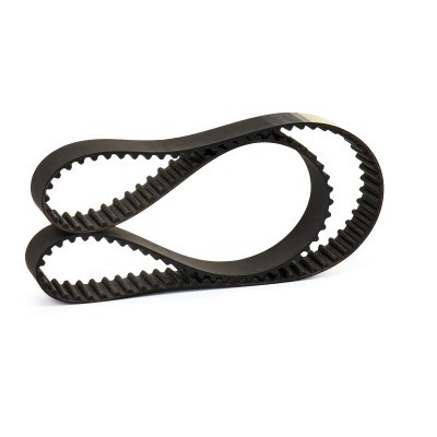 Timing Belt RIDEX 306T0213P 306T0213P - photo 3