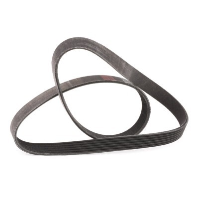 V-Ribbed Belt RIDEX 305P0501P 305P0501P - photo 3