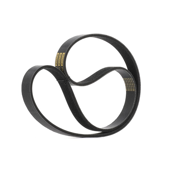 V-Ribbed Belt RIDEX 305P0116P 305P0116P - photo 1