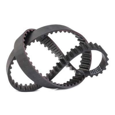 Timing Belt RIDEX 306T0101 306T0101 - photo 3